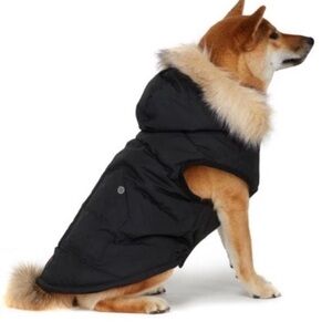 PAJAR Black Barnard Insulated Dog Winter Jacket Coat Faux Fur Trim Hood NWT XL